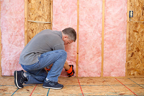 Best Geographic-Specific Insulation Services in Orland, CA
