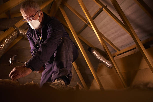 Best Insulation Maintenance and Repair in Orland, CA